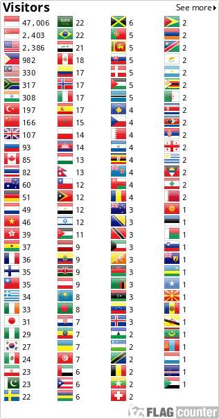 Flag Counter