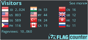 Flag Counter