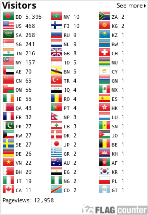 Flag Counter