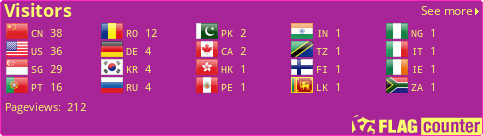 Flag Counter