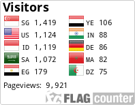 Flag Counter
