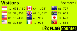 Flag Counter