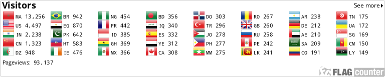 Flag Counter