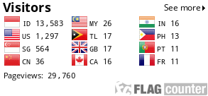 Flag Counter