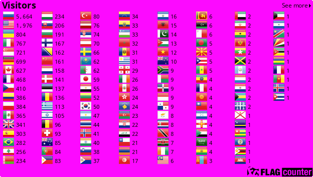Flag Counter