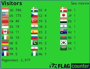 Flag Counter