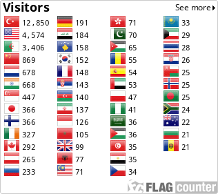 Flag Counter