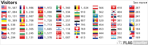 Flag Counter