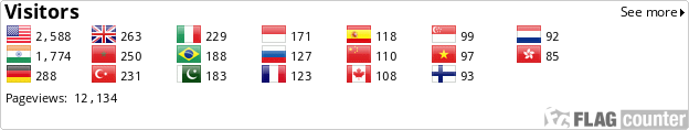 Flag Counter