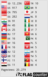 Flag Counter