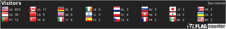 Flag Counter