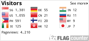 Flag Counter