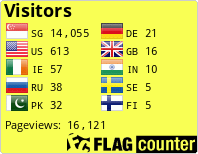 Flag Counter
