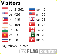 Flag Counter