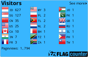 Flag Counter