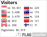 Flag Counter