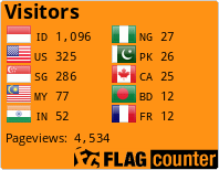 Flag Counter