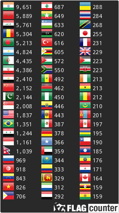 Flag Counter