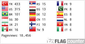 Flag Counter
