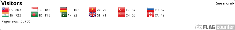 Flag Counter