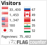 Flag Counter