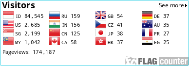 Flag Counter
