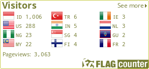Flag Counter