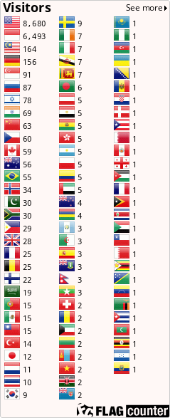 Flag Counter