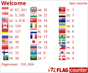 Flag Counter