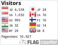 Flag Counter