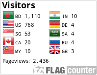 Flag Counter
