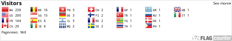 Flag Counter