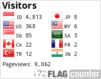Flag Counter