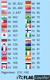 Flag Counter