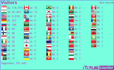 Flag Counter