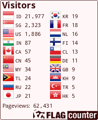 Flag Counter