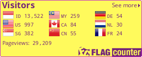 Flag Counter