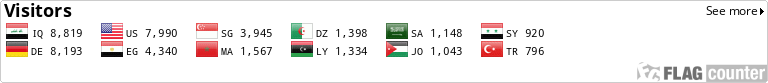 Flag Counter