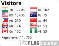 Flag Counter