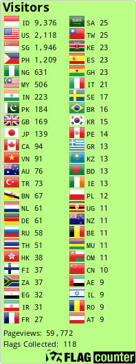 Flag Counter
