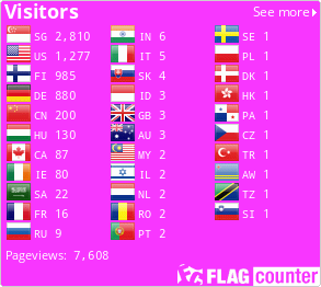 Flag Counter