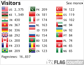 Flag Counter