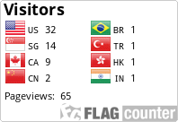 Flag Counter