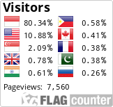 Flag Counter