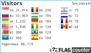 Flag Counter
