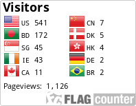 Flag Counter