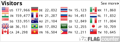 Flag Counter