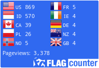 Flag Counter
