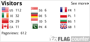 Flag Counter