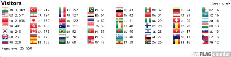 Flag Counter